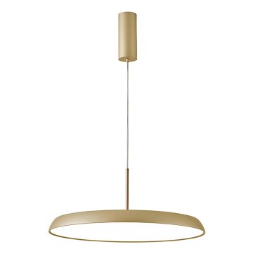 LED-kroonluchter aan kabel ART LED/41W/230V goud