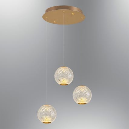 LED-kroonluchter aan kabel CREMONA 3xLED/5W/230V 3000K goud