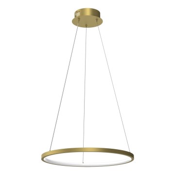 LED-kroonluchter aan kabel ROTONDA LED/27W/230V goud