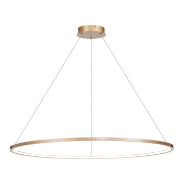 LED-kroonluchter aan kabel SATURNO LED/65W/230V Ø 120 cm IP44 goud