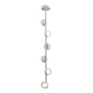 LED-kroonluchter aan staaf COMFORT 6xLED/5W/230V wit