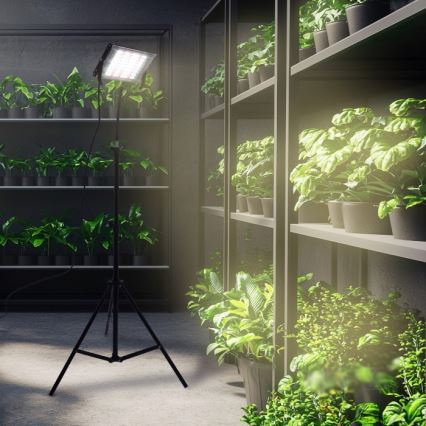 LED Schijnwerper met standaard voor plantengroei FIRON LED/45W/230V IP54 zwart