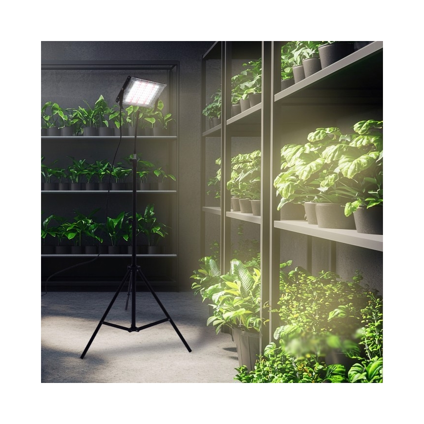 LED Schijnwerper met standaard voor plantengroei FIRON LED/45W/230V IP54 zwart