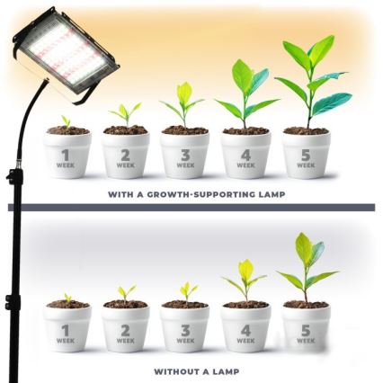 LED Schijnwerper met standaard voor plantengroei FIRON LED/45W/230V IP54 zwart