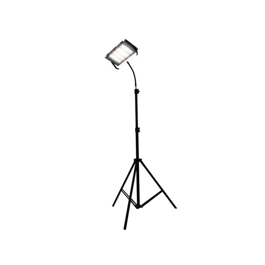 LED Schijnwerper met standaard voor plantengroei FIRON LED/45W/230V IP54 zwart
