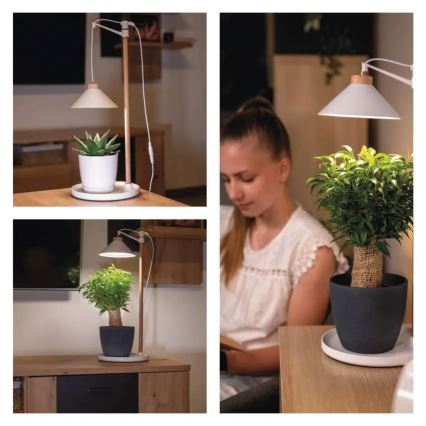 LED-kweeklamp voor binnen GROW LED/7W/5V