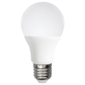 LED Lamp A60 E27/12W/230V 6500K - Aigostar