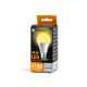 LED Lamp A60 E27/21W/230V 3000K - Aigostar