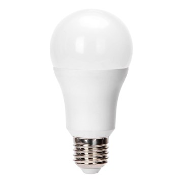 LED-lamp A60 E27/24W/230V 6500K - Aigostar