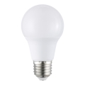 LED-lamp A60 E27/8,5W/230V 6500K - Eglo 117595