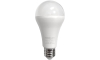 LED Lamp A65 E27/18W/230V 2700K