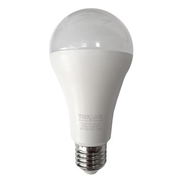 LED Lamp A65 E27/18W/230V 4200K