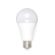 LED lamp A80 E27/18W/230V 3000K