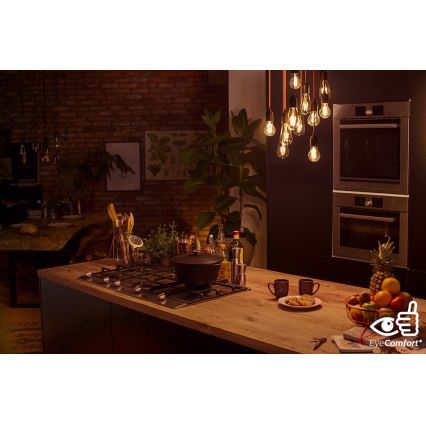 LED Lamp dimbaar Philips VINTAGE E27/12W/230V 2700K