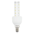 LED Lamp E14/4W/230V 6500K - Aigostar
