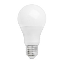 LED Lamp E27/10W/230V 4000K