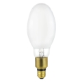 LED Lamp E27/20W/230V 4000K