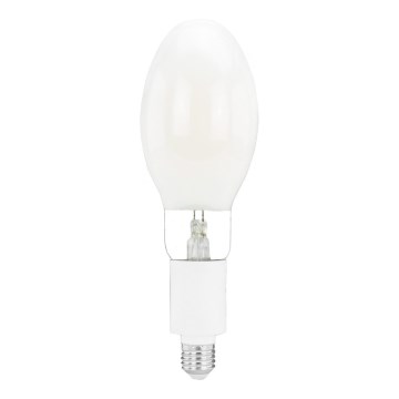 LED Lamp E27/20W/230V 4000K
