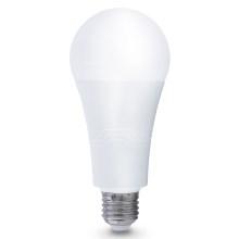 LED Lamp E27/22W/230V 3000K