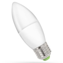 LED Lamp E27/6W/230V 6000K