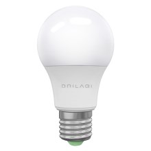 LED Lamp ECOLINE A60 E27/15W/230V 4000K - Brilagi