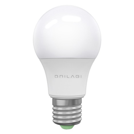 LED Lamp ECOLINE A60 E27/15W/230V 6500K - Brilagi
