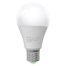LED Lamp ECOLINE A65 E27/15W/230V 3000K - Brilagi