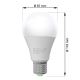 LED Lamp ECOLINE A65 E27/15W/230V 3000K - Brilagi