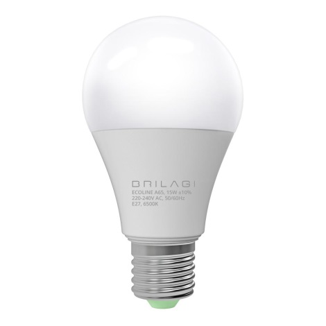 LED Lamp ECOLINE A65 E27/15W/230V 6500K - Brilagi