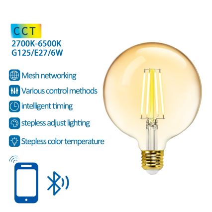 Dimbare LED Lamp FILAMENT MESH Smart G125 E27/6W/230V 2700-6500K - Aigostar