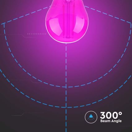 LED Lamp FILAMENT G45 E27/2W/230V roze