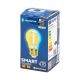 LED Lamp FILAMENT G45 E27/4,5W/230V 2700-6500K - Aigostar
