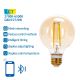 LED Lamp FILAMENT G80 E27/6W/230V 2700-6500K - Aigostar