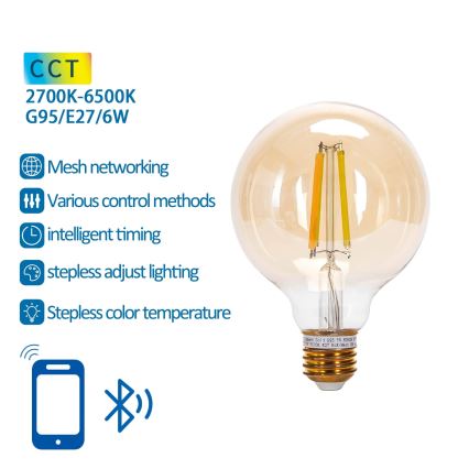 Dimbare LED Lamp FILAMENT MESH Smart G95 E27/6W/230V 2700-6500K - Aigostar