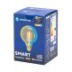 LED Lamp FILAMENT G95 E27/6W/230V 2700-6500K - Aigostar