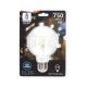 LED Lamp FILAMENT G95 E27/6W/230V 6500K - Aigostar