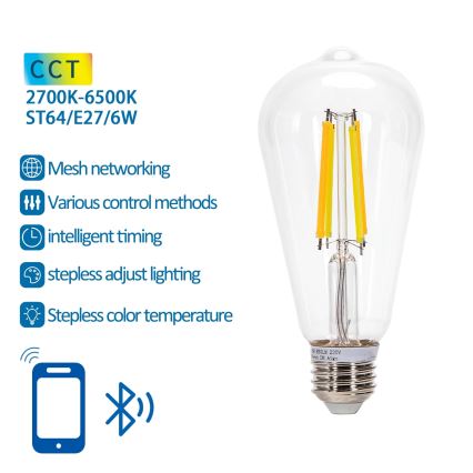 LED Lamp FILAMENT ST64 E27/6W/230V 2700-6500K - Aigostar