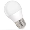 LED Lamp G45 E27/4W/230V 6000K