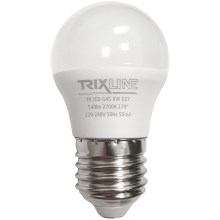 LED Lamp G45 E27/6W/230V 2700K