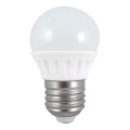 LED Lamp G45 E27/6W/230V 6500K