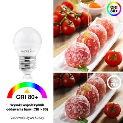 LED Lamp G45 E27/8W/230V 4000K