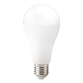 LED-lamp GS E27/22W/230V 4000K