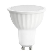 LED Lamp GU10/10W/230V 4000K