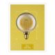 LED Lamp INNER G125 E27/3,5W/230V 1800K - Paulmann 28875
