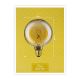 LED Lamp INNER G125 E27/3,5W/230V 1800K - Paulmann 28881