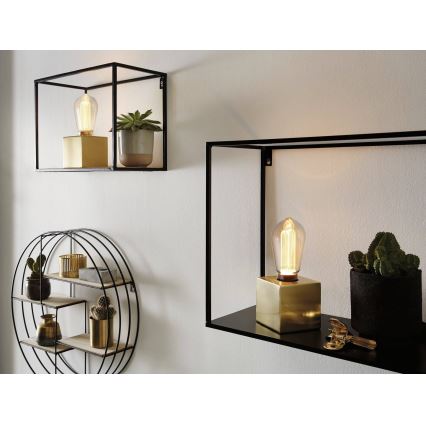 LED Lamp INNER ST64 E27/3,5W/230V 1800K - Paulmann 28879