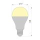LED Lamp LEDSTAR A70 E27/18W/230V 3000K