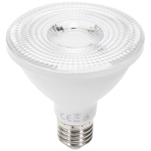 LED Lamp PAR30 E27/12W/230V 6500K - Aigostar