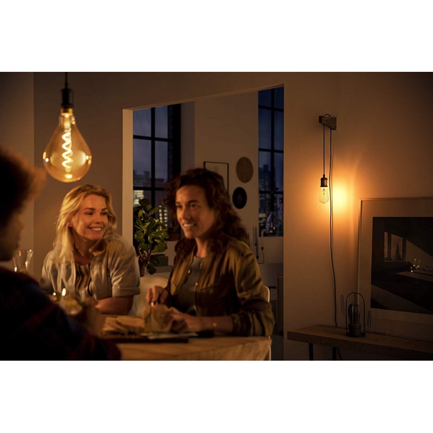 LED Lamp Philips E27/5W/230V 2000K - VINTAGE