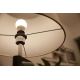 LED Lamp Philips SCENE SWITCH A67 E27/14W/230V 2200K-2700K